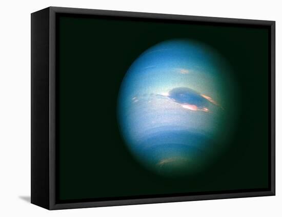Voyager 2 Image of the Planet Neptune-null-Framed Premier Image Canvas
