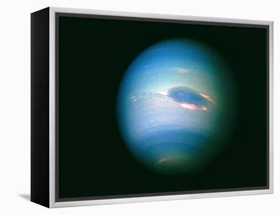 Voyager 2 Image of the Planet Neptune-null-Framed Premier Image Canvas