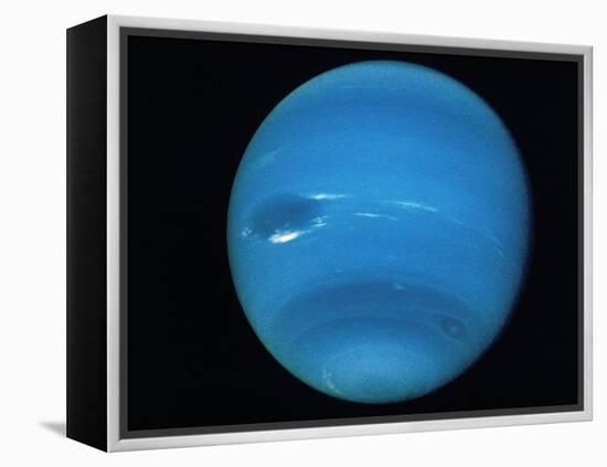 Voyager 2 Image of the Planet Neptune-null-Framed Premier Image Canvas