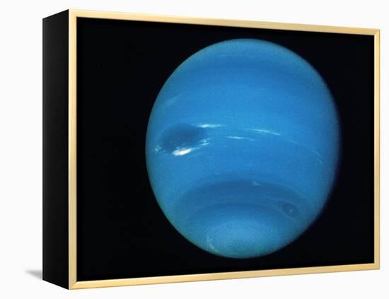 Voyager 2 Image of the Planet Neptune-null-Framed Premier Image Canvas