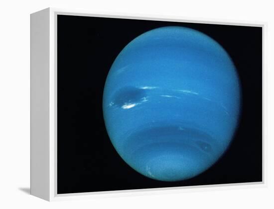 Voyager 2 Image of the Planet Neptune-null-Framed Premier Image Canvas