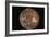 Voyager 2 Photo of Callisto, Jupiter's Fourth Moon-null-Framed Photographic Print