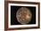 Voyager 2 Photo of Callisto, Jupiter's Fourth Moon-null-Framed Photographic Print