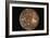 Voyager 2 Photo of Callisto, Jupiter's Fourth Moon-null-Framed Photographic Print