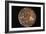 Voyager 2 Photo of Callisto, Jupiter's Fourth Moon-null-Framed Photographic Print