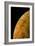 Voyager 2 Photo of Europa, One of Jupiter's Moons-null-Framed Photographic Print