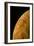 Voyager 2 Photo of Europa, One of Jupiter's Moons-null-Framed Photographic Print