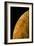 Voyager 2 Photo of Europa, One of Jupiter's Moons-null-Framed Photographic Print