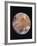Voyager I Photo of Ganymede, Jupiter's Third Moon-null-Framed Photographic Print