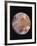 Voyager I Photo of Ganymede, Jupiter's Third Moon-null-Framed Photographic Print