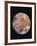 Voyager I Photo of Ganymede, Jupiter's Third Moon-null-Framed Photographic Print