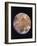 Voyager I Photo of Ganymede, Jupiter's Third Moon-null-Framed Photographic Print