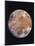 Voyager I Photo of Ganymede, Jupiter's Third Moon-null-Mounted Photographic Print