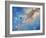 Voyager Spacecraft-Chris Butler-Framed Photographic Print