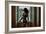 Voyeur 2-Craig J^ Brown-Framed Photographic Print