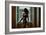 Voyeur 2-Craig J^ Brown-Framed Photographic Print