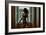 Voyeur 2-Craig J^ Brown-Framed Photographic Print