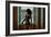 Voyeur 2-Craig J^ Brown-Framed Photographic Print