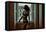 Voyeur 2-Craig J^ Brown-Framed Premier Image Canvas