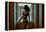 Voyeur 2-Craig J^ Brown-Framed Premier Image Canvas