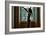 Voyeur 4-Craig J^ Brown-Framed Photographic Print