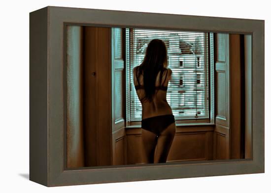 Voyeur 5-Craig J^ Brown-Framed Premier Image Canvas