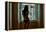 Voyeur 5-Craig J^ Brown-Framed Premier Image Canvas