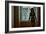 Voyeur 6-Craig J^ Brown-Framed Photographic Print