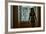 Voyeur 6-Craig J^ Brown-Framed Photographic Print