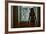 Voyeur 6-Craig J^ Brown-Framed Photographic Print