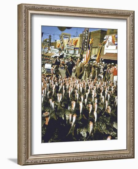 VP Richard Nixon at Turkey Parade During Appearance in Support of GOP Congressional Campaign-John Dominis-Framed Photographic Print