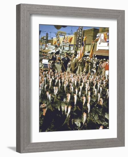 VP Richard Nixon at Turkey Parade During Appearance in Support of GOP Congressional Campaign-John Dominis-Framed Photographic Print