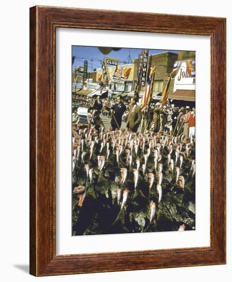 VP Richard Nixon at Turkey Parade During Appearance in Support of GOP Congressional Campaign-John Dominis-Framed Photographic Print