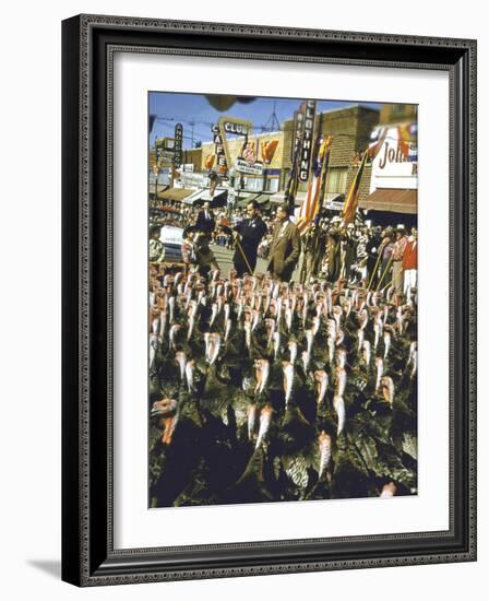 VP Richard Nixon at Turkey Parade During Appearance in Support of GOP Congressional Campaign-John Dominis-Framed Photographic Print