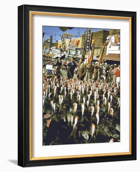 VP Richard Nixon at Turkey Parade During Appearance in Support of GOP Congressional Campaign-John Dominis-Framed Photographic Print