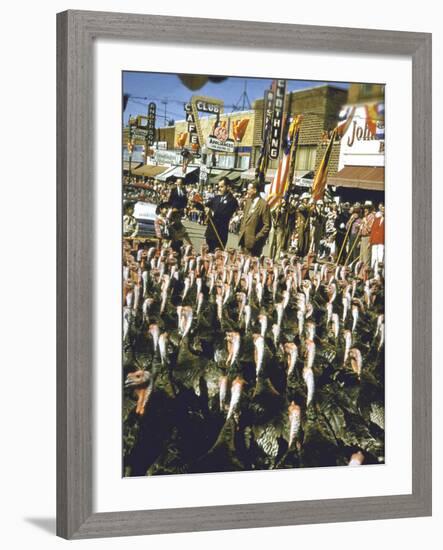 VP Richard Nixon at Turkey Parade During Appearance in Support of GOP Congressional Campaign-John Dominis-Framed Photographic Print