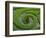 Vrtba Garden-Christophe Boisvieux-Framed Photographic Print