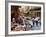 Vucciria Market, Palermo, Sicily, Italy, Europe-Levy Yadid-Framed Photographic Print