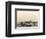 Vue d'Amsterdam (B210)-Amand Durand-Framed Collectable Print