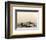 Vue d'Amsterdam (B210)-Amand Durand-Framed Collectable Print