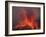 Vulcanian Eruption with Glowing Lava Bombs on Sakurajima Volcano, Japan-Stocktrek Images-Framed Photographic Print