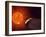 Vulcanoid Asteroid And Sun, Artwork-Equinox Graphics-Framed Photographic Print