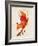 Vulpes Vulpes-Robert Farkas-Framed Art Print