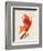 Vulpes Vulpes-Robert Farkas-Framed Premium Giclee Print