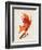 Vulpes Vulpes-Robert Farkas-Framed Premium Giclee Print