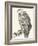 Vulture, 1850 (Engraving)-Louis Simon (1810-1870) Lassalle-Framed Giclee Print