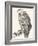Vulture, 1850 (Engraving)-Louis Simon (1810-1870) Lassalle-Framed Giclee Print
