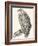 Vulture, 1850 (Engraving)-Louis Simon (1810-1870) Lassalle-Framed Giclee Print