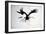 Vulture, nextinctions, folder, 14 (ink on paper)-Ralph Steadman-Framed Giclee Print