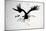 Vulture, nextinctions, folder, 14 (ink on paper)-Ralph Steadman-Mounted Giclee Print